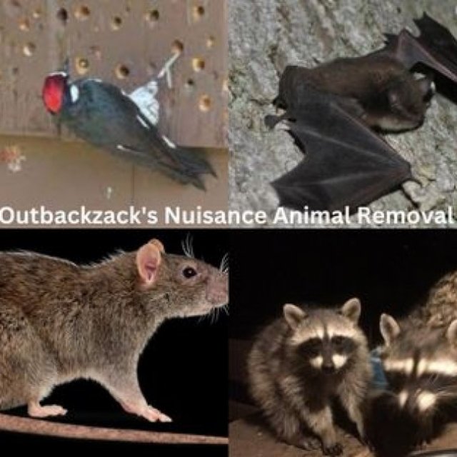 OutbackZack's Nuisance Animal Removal