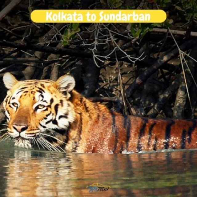 Kolkata to Sundarban by Cab