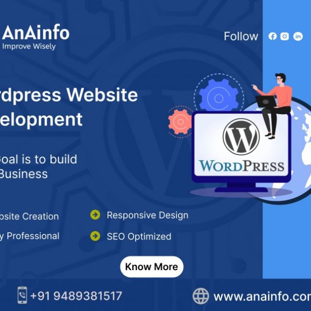 https://anainfo.com/web-development-company/