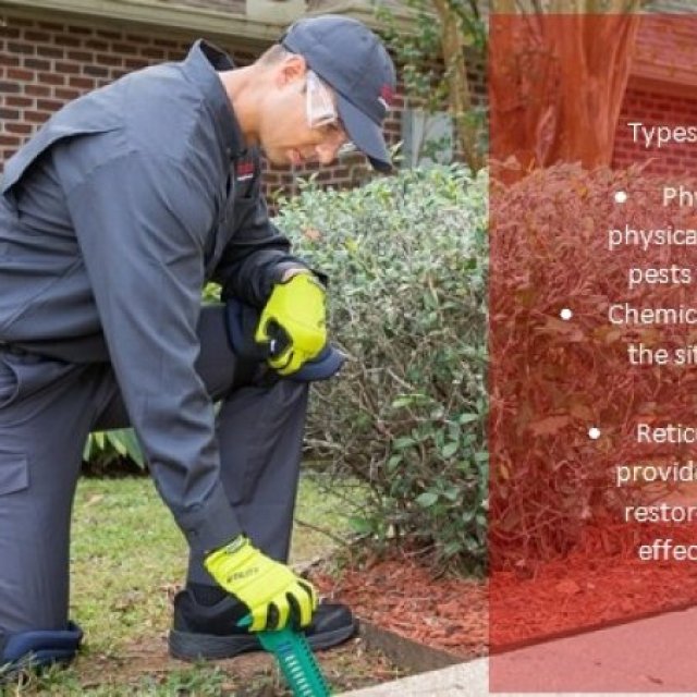 Pest Control Campbelltown - Bug Free Pest Control