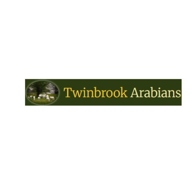 Twinbrook Arabians