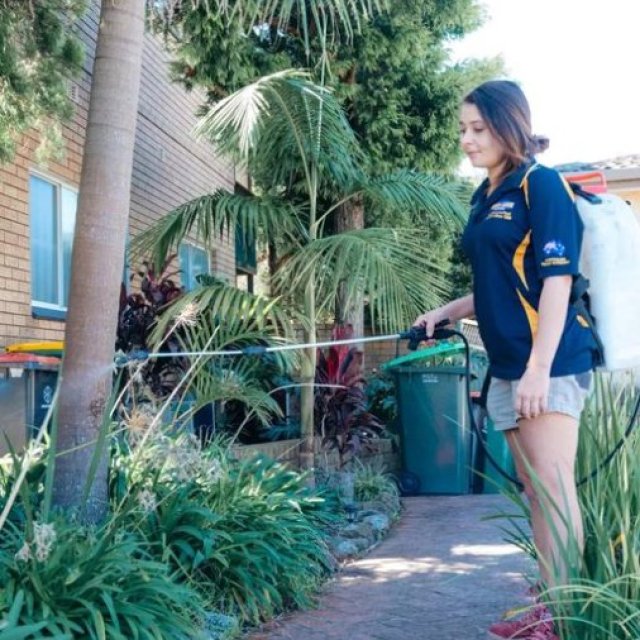 Effective Pest Control - Knockdown Pest Control