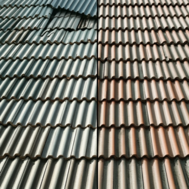 Red Leaf Roof & Gutter