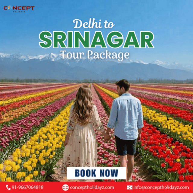 Delhi to Srinagar Tour Package