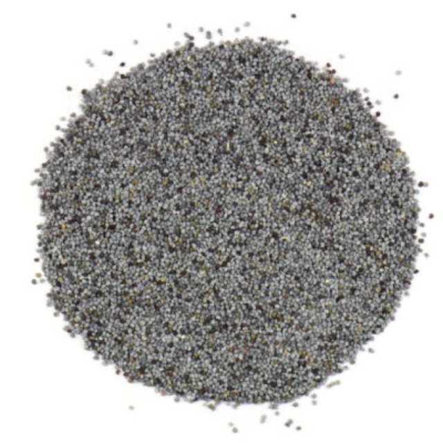 Blue Poppy Seeds Online