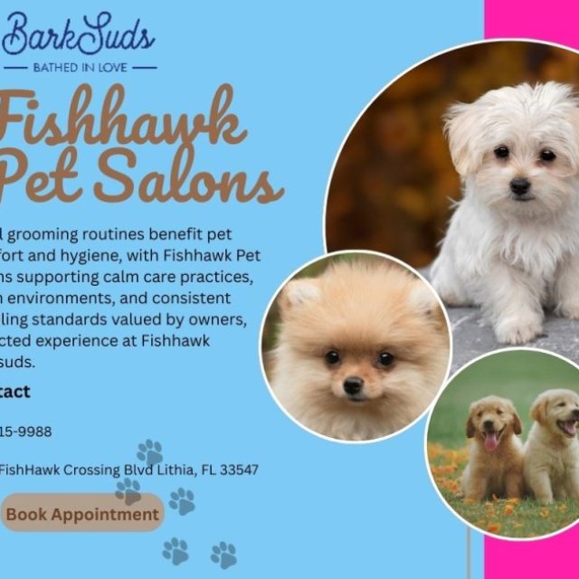 Gentle Grooming Care for Dogs in a Calm Environment
