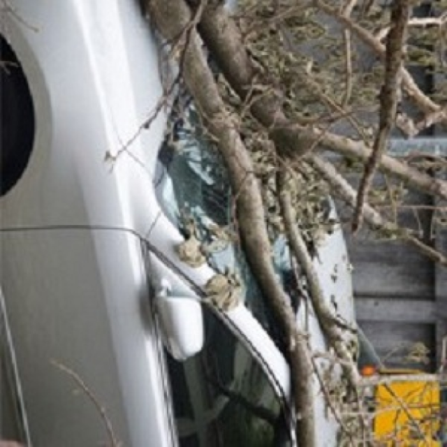 Farmers Insurance - Matthew Bisping