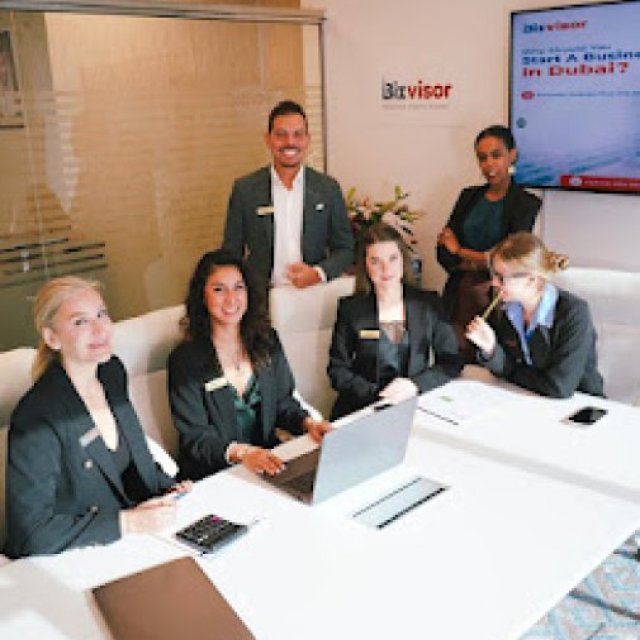 Bizvisor