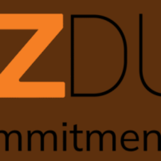 AMZDUDES