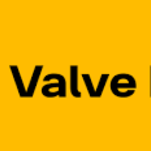 Customized Non Return Valve Manufacturer in India