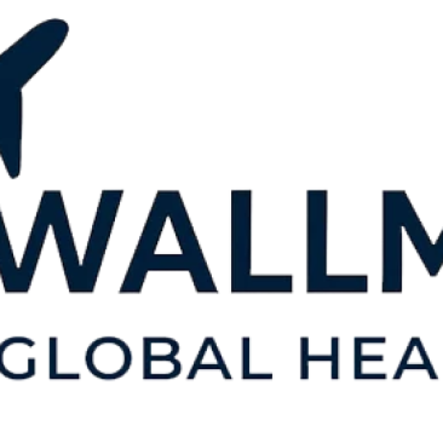 Wallmark Global Health Care