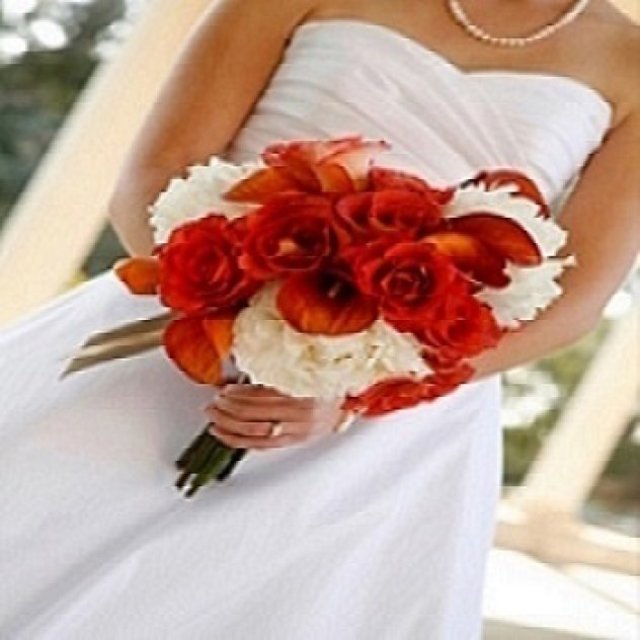 Red Rose Flowers