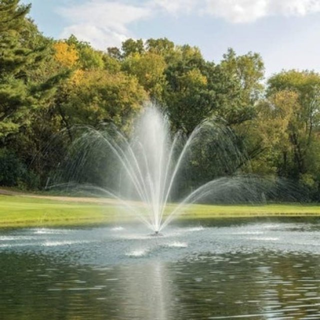 Proto Pond