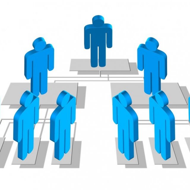 Org Chart SGS: Cultural | Management | Hierarchical Details