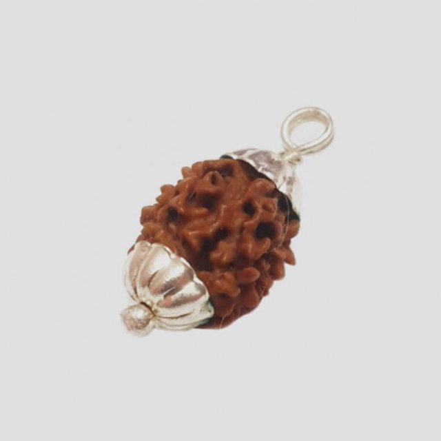 Shiv Kripa Rudraksha Kendra