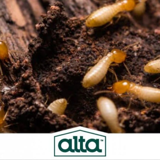 Alta Pest Control