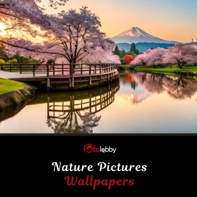 Nature Pictures Wallpapers
