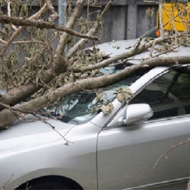 Miller Insurance Solutions