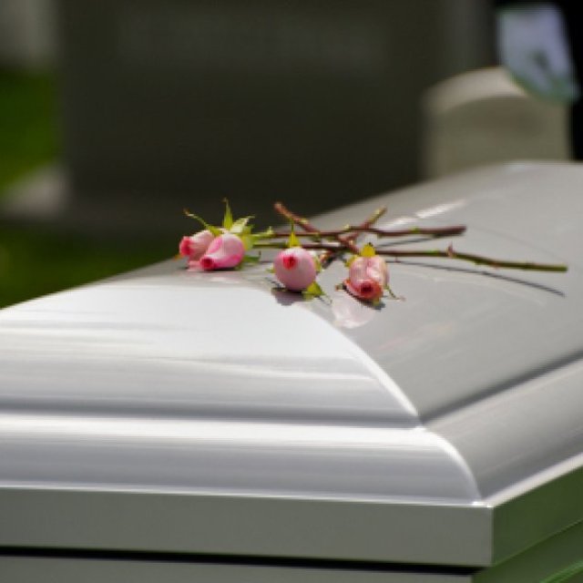 https://weboworld.com/pictures/place-thumb/130/26.05.06.11.24-1778046882.2924-50774564.jpeg