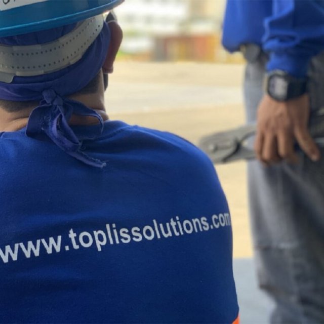 Toplis Solutions, Inc.