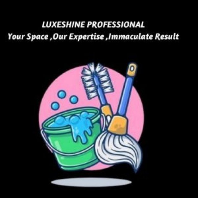 luxeshineprofessional