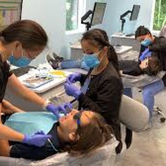 Orthodontist Charleston