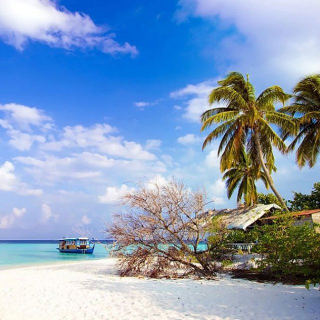 Andaman Tour Package From Coimbatore | Andaman And Nicobar