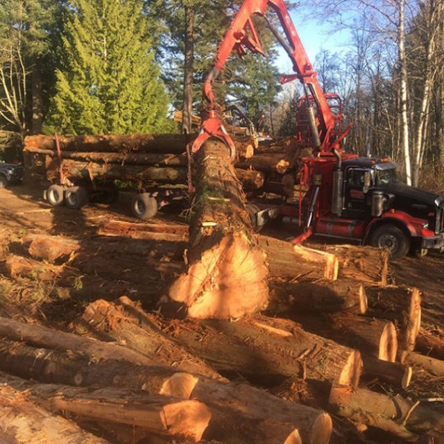 S A S Logging & Tree Service