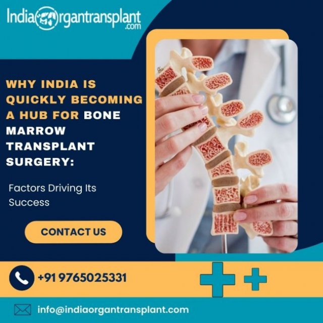 Average Cost of Bone Marrow Transplant Surgery in India