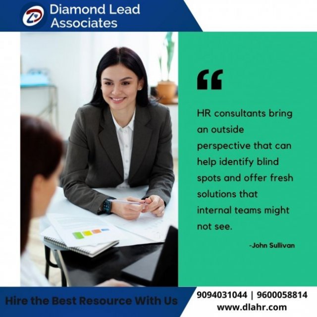 Diamond Lead Associates - DLA HR