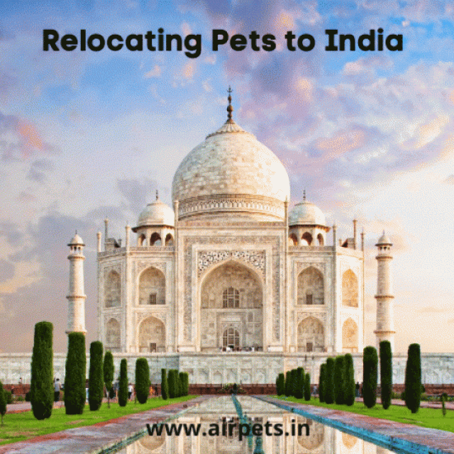 AirPets Relocation Services Pvt Ltd