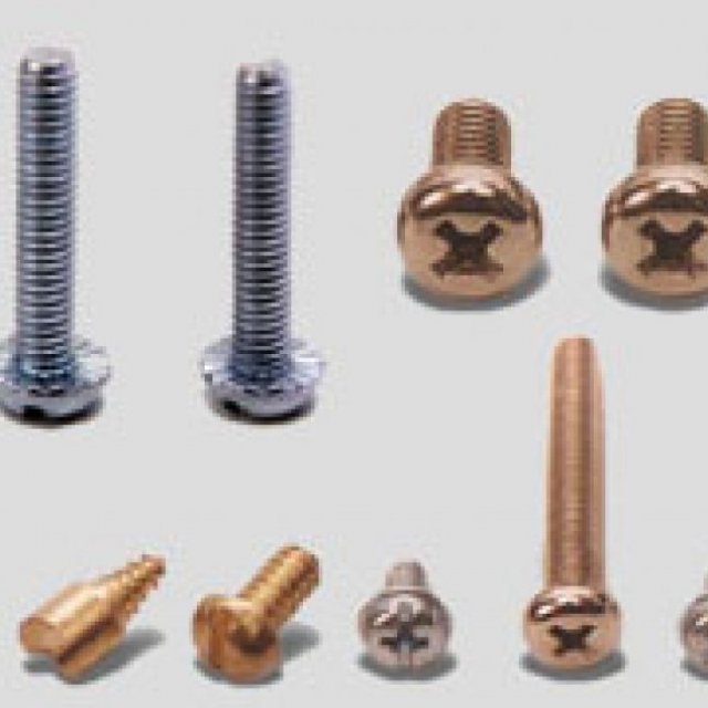 Brass Screw India