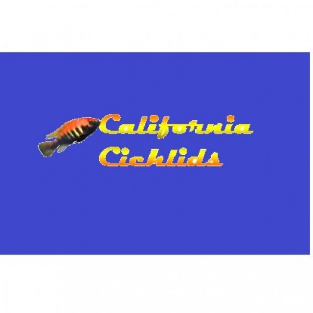 CaliforniaCichlids.com