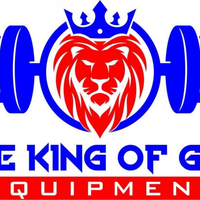 The King of Gym Equipment - Outdoor Children Play Equipment