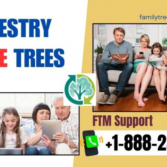 Ancestry Merge trees