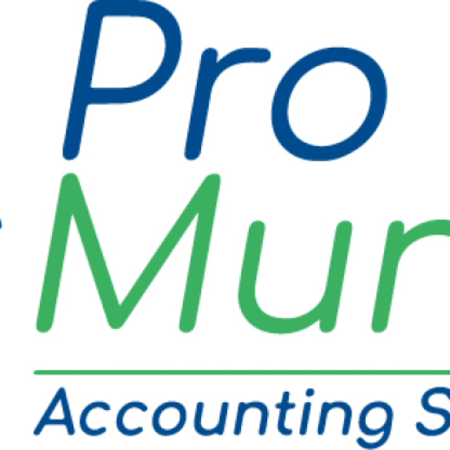 ProMunim - Best CA Firm in Pune