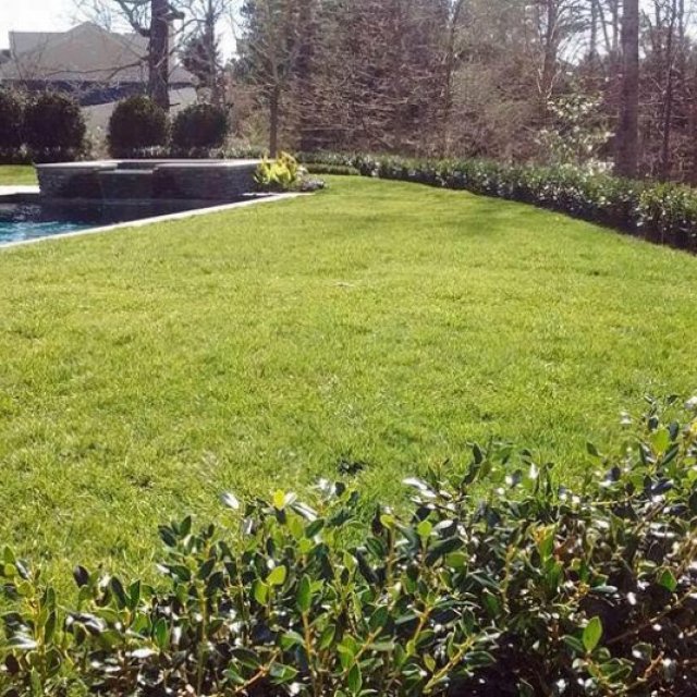 L Jones Landscapes LLC