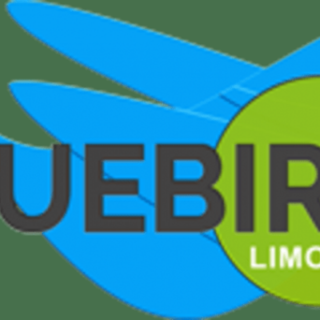 Bluebird Limo Inc