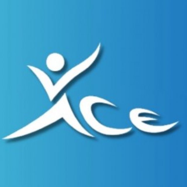 Ace Volleyball Academy