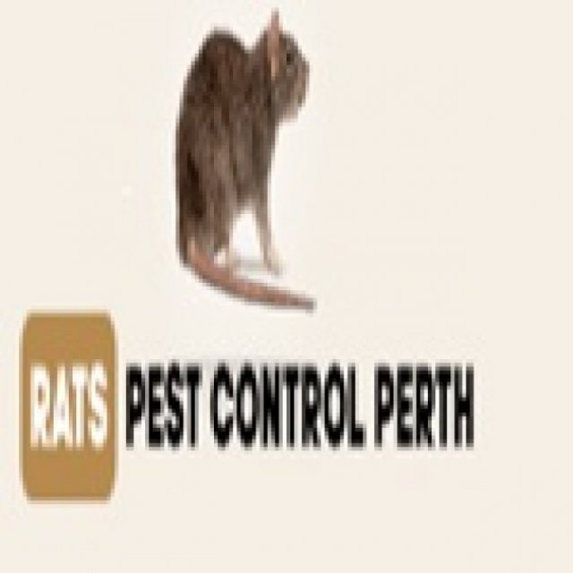 Rats Pest Control Perth