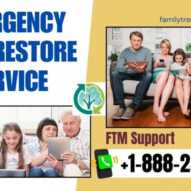 The Emergency Tree Restore Service