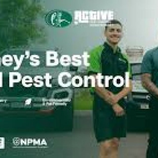 Pest Control in Sydney - Active Pest Control Management