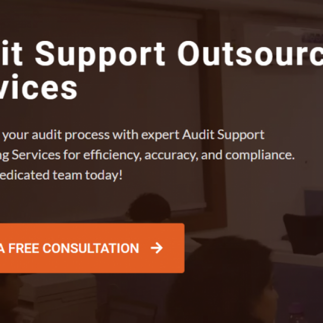 Audit Support Outsourcing Services