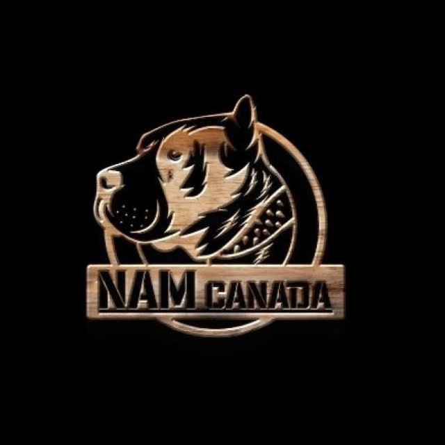 North American Mastiff (NAM)