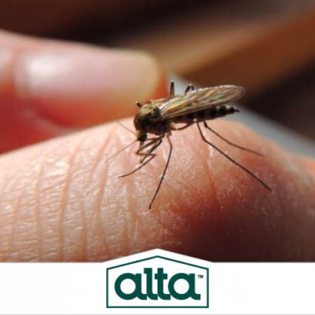 Alta Pest Control