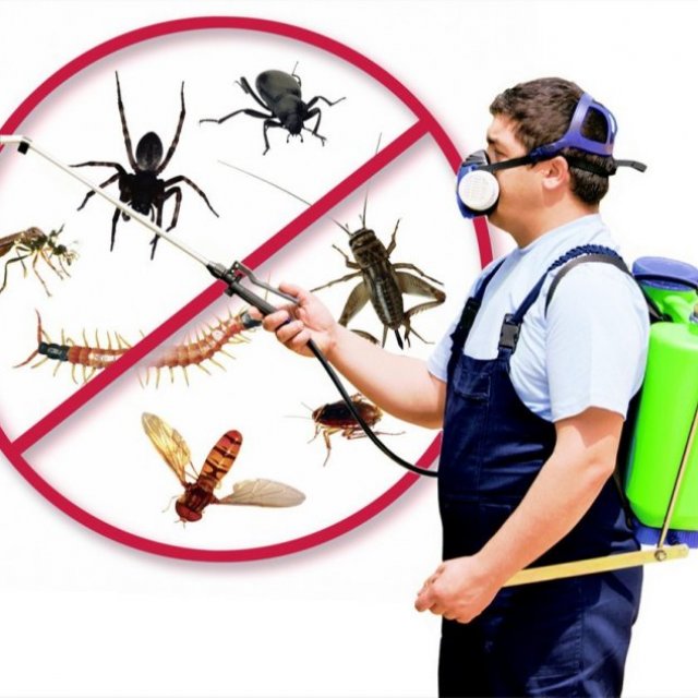 pest control services in Delhi NCR