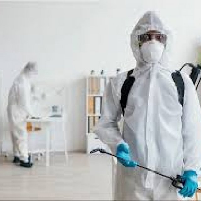 Anti Termite Treatment in Gurgaon