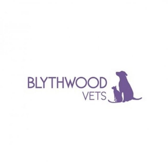 Blythwood Vets - Stanmore