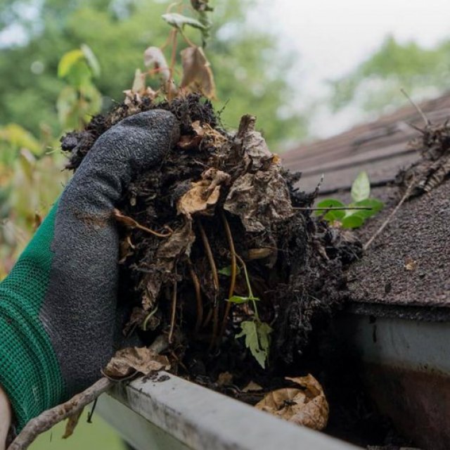 LeafBuster Gutter Protection