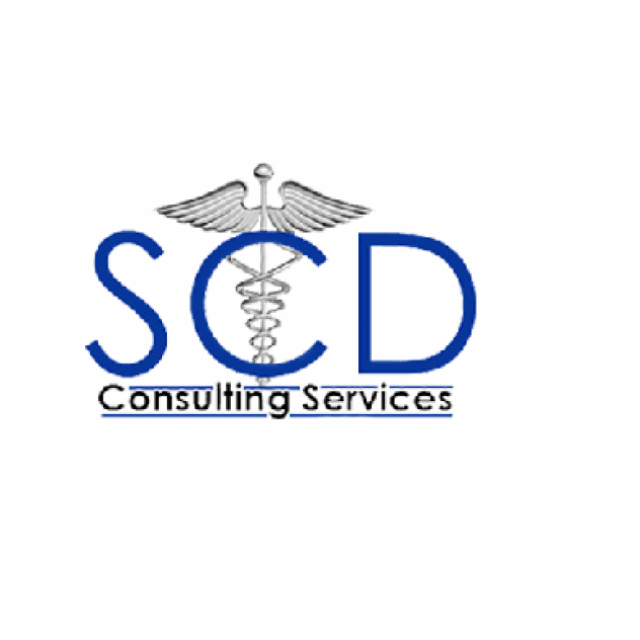 SCD Consulting Services